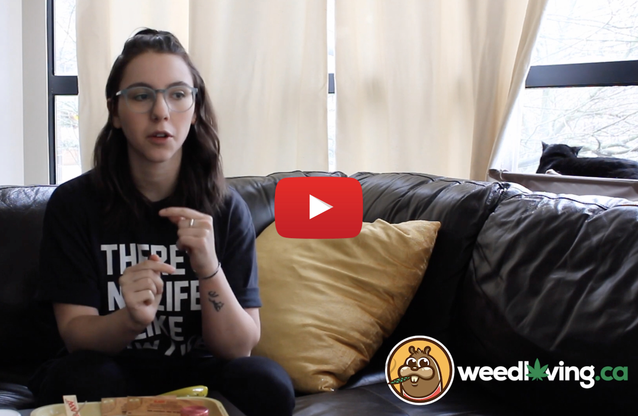 aurora nanas cannabis review video - WeedLoving.ca Video Weed Review – NANAS by Aurora Cannabis