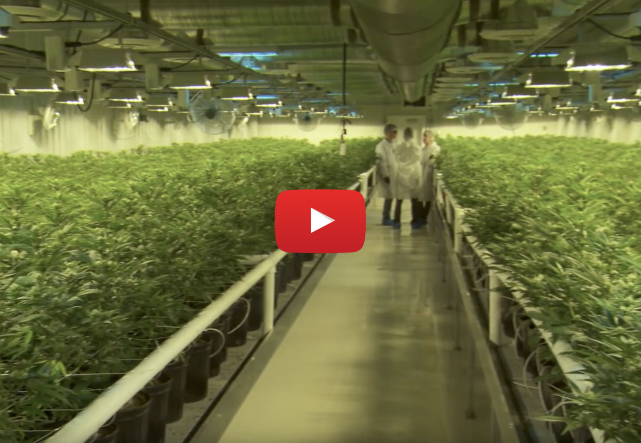 Canada's cannabis lead is quickly slipping over approval of new U.S. rules