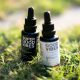 effects of CBD tinctures