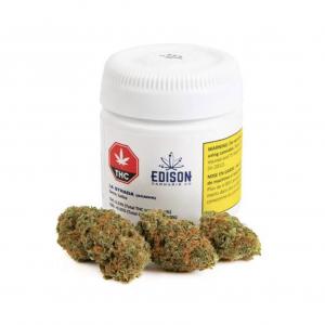 62 edisonlastrada - WeedLoving.ca - Canadian Cannabis and Mail Order Marijuana Forums