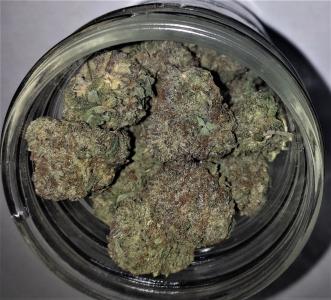 353 001 - WeedLoving.ca - Canadian Cannabis and Mail Order Marijuana Forums