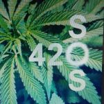 420sos 379 - WeedLoving.ca - Canadian Cannabis and Mail Order Marijuana Forums