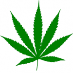 mainstay 18 - WeedLoving.ca - Canadian Cannabis and Mail Order Marijuana Forums